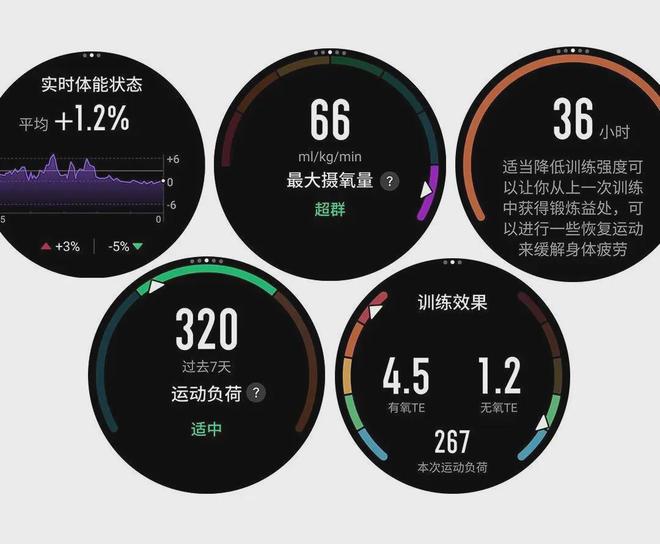 华米Cheetah Pro会是你下个赛场好队友吗？MG电子试玩1500元跑表首选？Amazfit(图17)